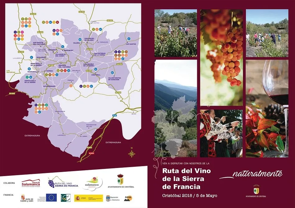 Foto 3 - 'La Fiesta del Vino' se celebra ma&ntilde;ana con numerosas actividades