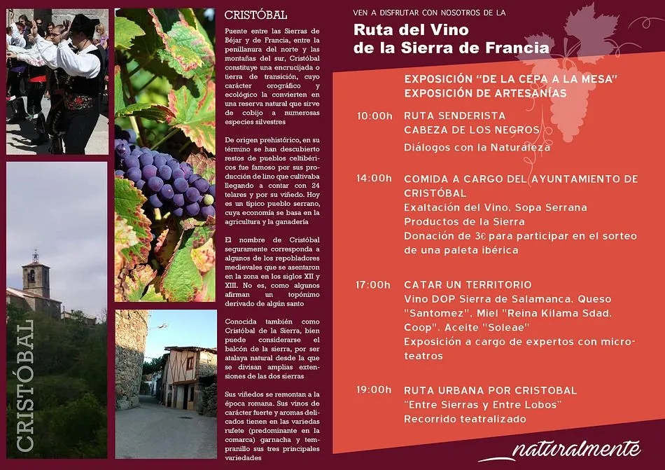 Foto 2 - 'La Fiesta del Vino' se celebra ma&ntilde;ana con numerosas actividades