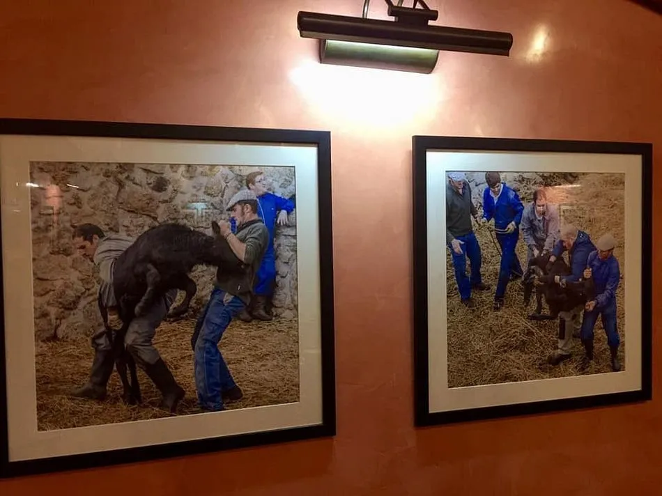 Foto 3 - &Uacute;ltimos d&iacute;as para visitar la exposici&oacute;n de Alfonso Blanco