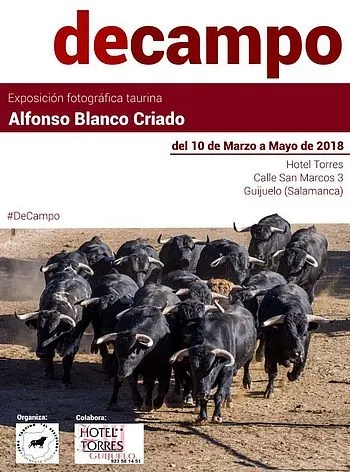 Foto 2 - &Uacute;ltimos d&iacute;as para visitar la exposici&oacute;n de Alfonso Blanco
