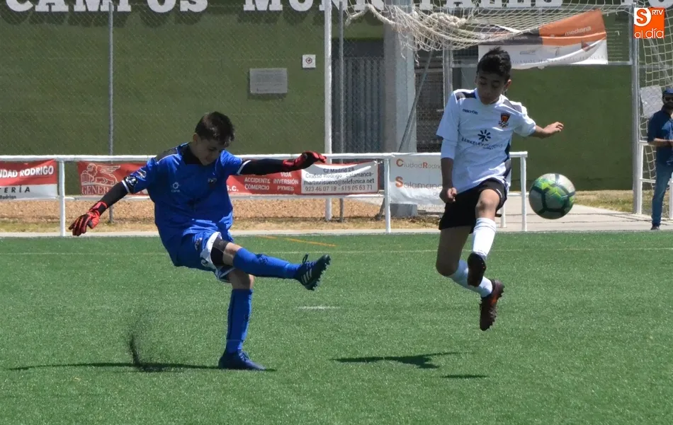 [Infantiles] Ciudad Rodrigo CF vs Salmantino UDS
