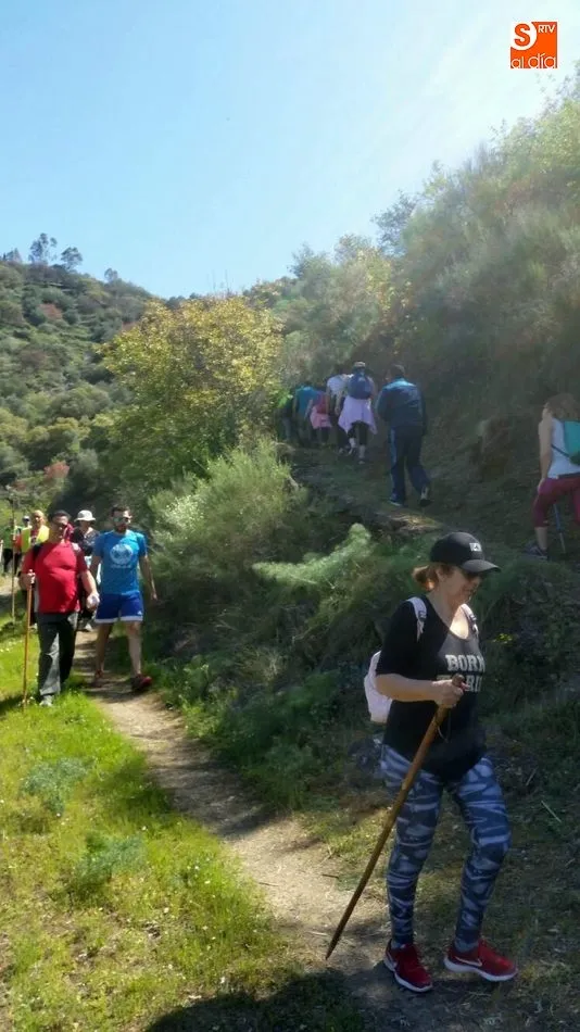 Foto 5 - Cerca de 300 senderistas se adentran en el coraz&oacute;n de Las Arribes  