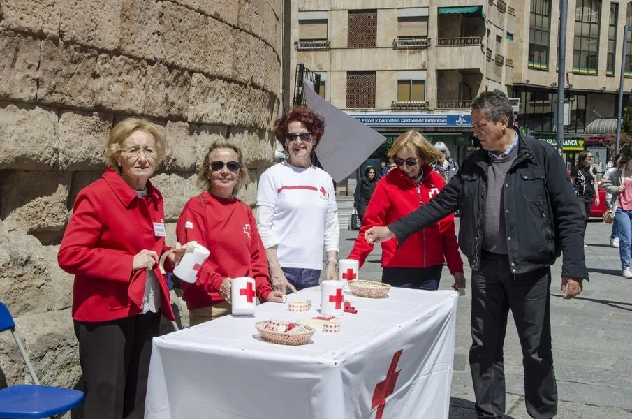 Foto 11 - Las huchas del D&iacute;a de la Banderita, s&iacute;mbolo de solidaridad con Cruz Roja