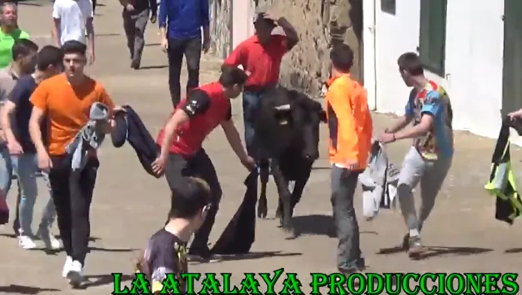 El encierro de la mañana del sábado en El Bodón, en vídeo  