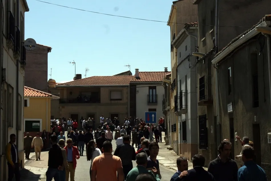 Foto 9 - El Bod&oacute;n disfruta de un encierro r&aacute;pido y limpio en el cual la manada lleg&oacute; disgregada  