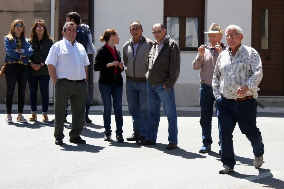 Foto 6 - El Bod&oacute;n disfruta de un encierro r&aacute;pido y limpio en el cual la manada lleg&oacute; disgregada  