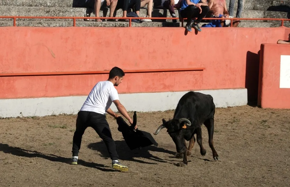 Foto 6 - Animada tarde taurina en El Bod&oacute;n tanto en la plaza como en las calles  