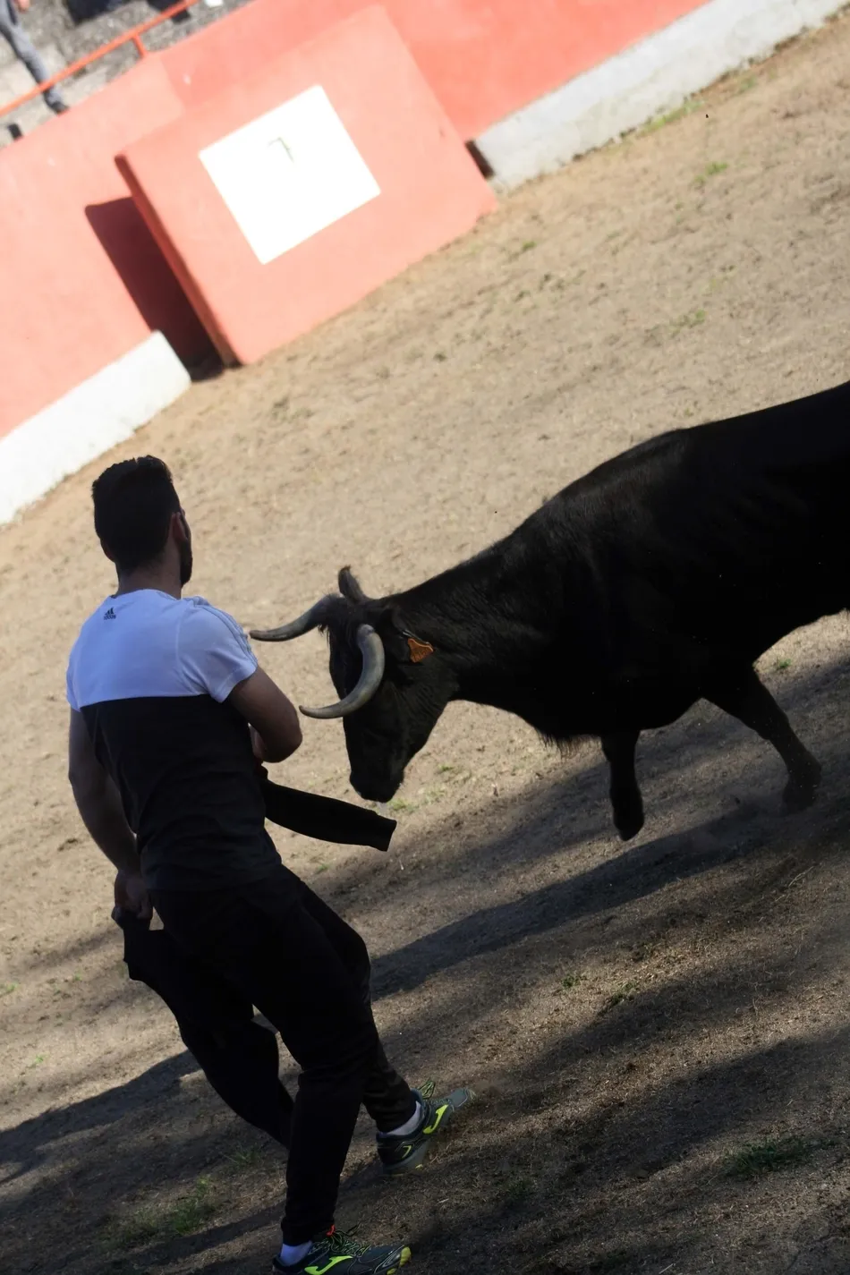 Foto 8 - Animada tarde taurina en El Bod&oacute;n tanto en la plaza como en las calles  