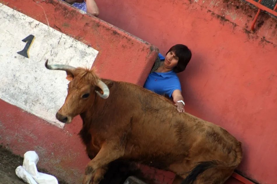 Una imagen curiosa que dejó la capea de la tarde | Fotos Sara Bayón
