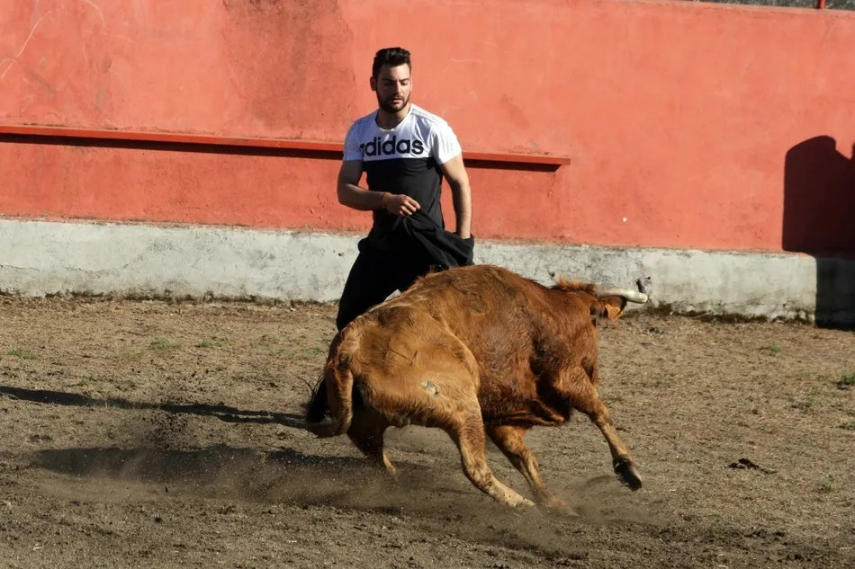 Foto 5 - Animada tarde taurina en El Bod&oacute;n tanto en la plaza como en las calles  