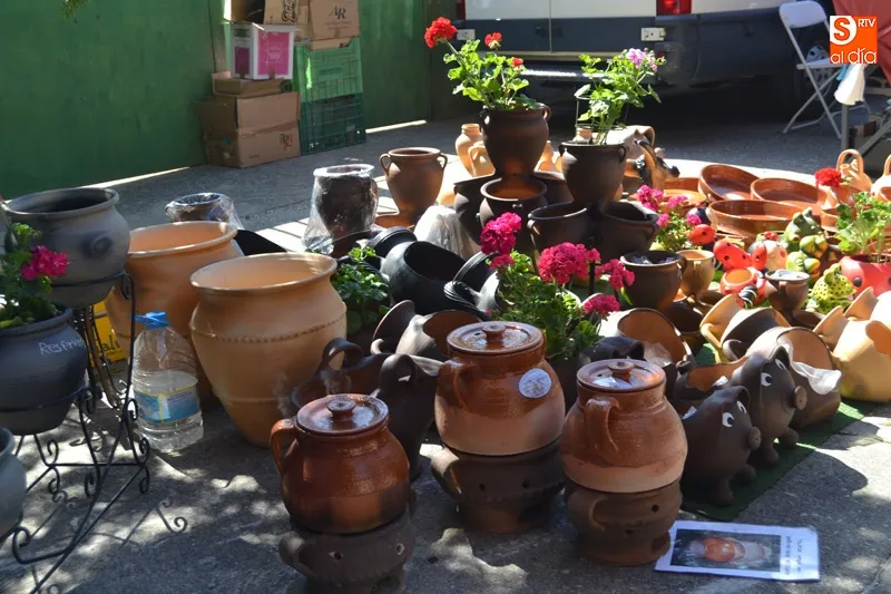 Foto 8 - La XII Feria Agroalimentaria y IV Macoinnova de Macotera se sit&uacute;a como referente con lleno total...