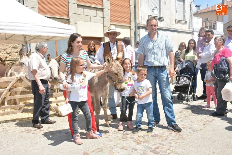 Foto 4 - &Eacute;xito de ventas, contactos y p&uacute;blico en la Feria Internacional del Queso