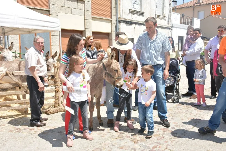 Foto 5 - &Eacute;xito de ventas, contactos y p&uacute;blico en la Feria Internacional del Queso