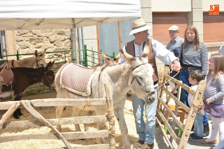Foto 3 - &Eacute;xito de ventas, contactos y p&uacute;blico en la Feria Internacional del Queso