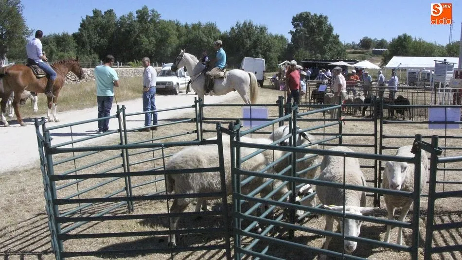 Los ganaderos interesados en participar en la feria deberán inscribirse antes del 5 de  junio
