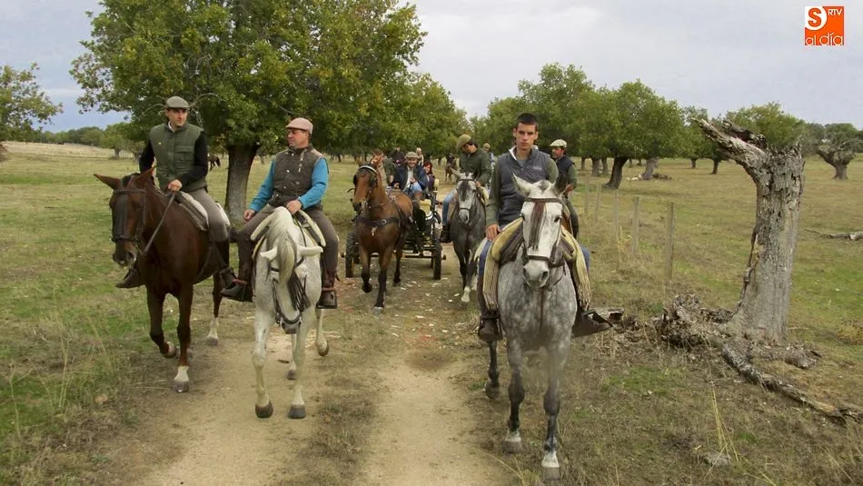 Foto 4 - Rollanejo, el centro de interpretaci&oacute;n de la dehesa salmantina m&aacute;s natural  