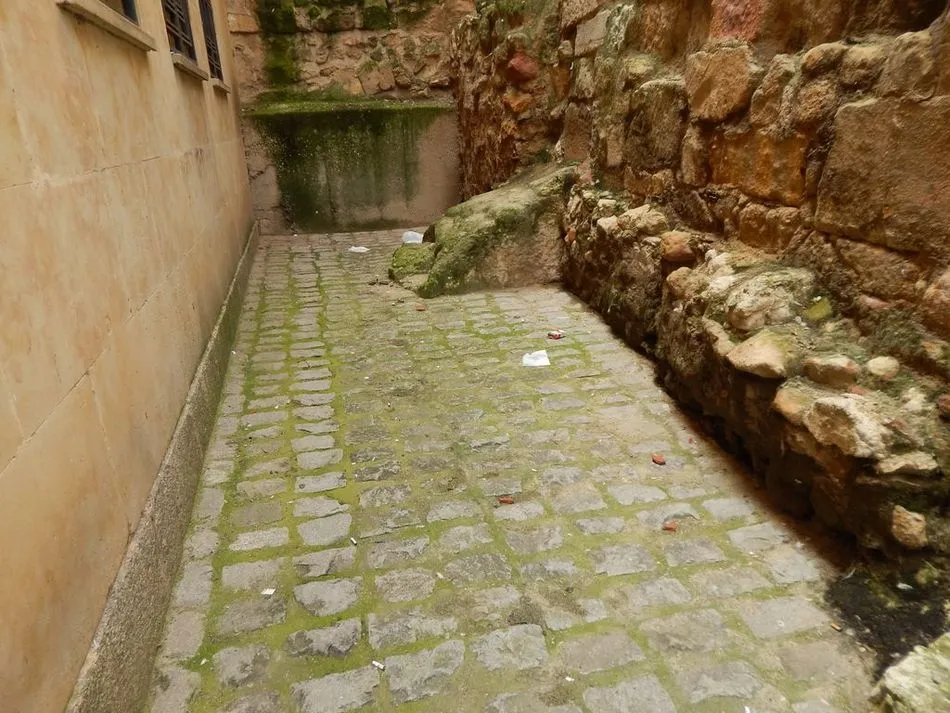 Foto 4 - Se implanta un cartel en ingl&eacute;s en la Cueva de Salamanca con acceso mediante c&oacute;digo QR  