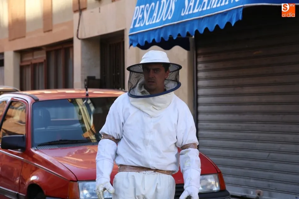 Foto 4 - El cuerpo de bomberos act&uacute;a en la calle Vid por un enjambre de abejas  