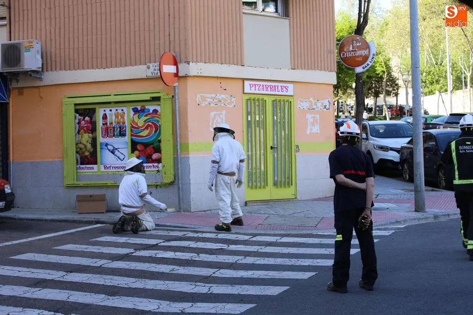 Foto 2 - El cuerpo de bomberos act&uacute;a en la calle Vid por un enjambre de abejas  