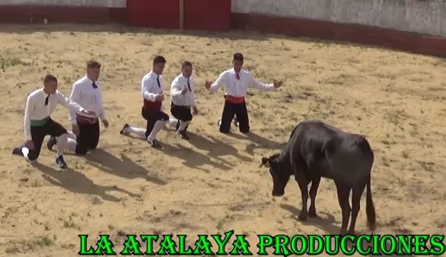 Oportunidad para repasar en vídeo los eventos taurinos de las fiestas de Castillejo  