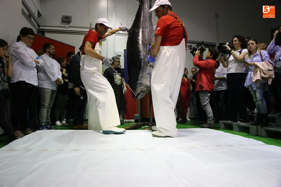 Foto 5 - El tradicional &lsquo;Ronqueo del At&uacute;n Rojo&rsquo; regresa a las instalaciones de Agrupesca  