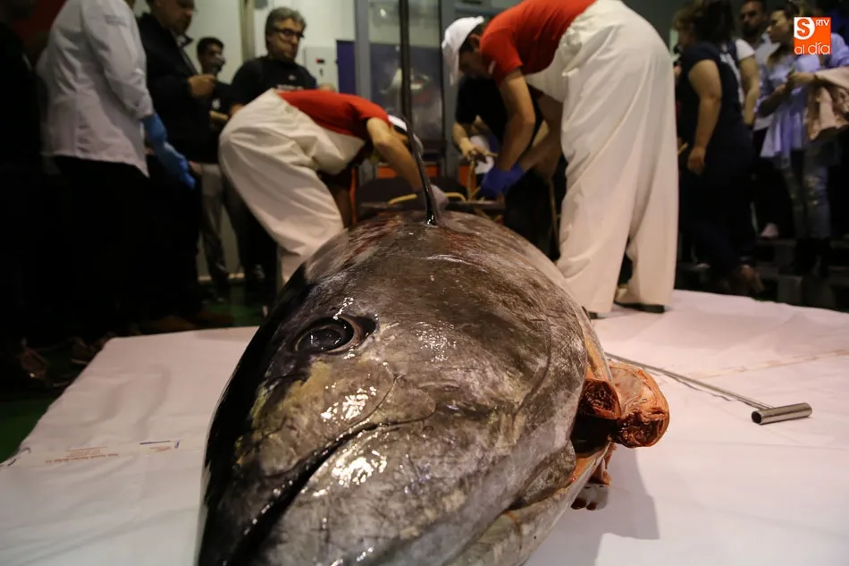 Foto 3 - El tradicional &lsquo;Ronqueo del At&uacute;n Rojo&rsquo; regresa a las instalaciones de Agrupesca  