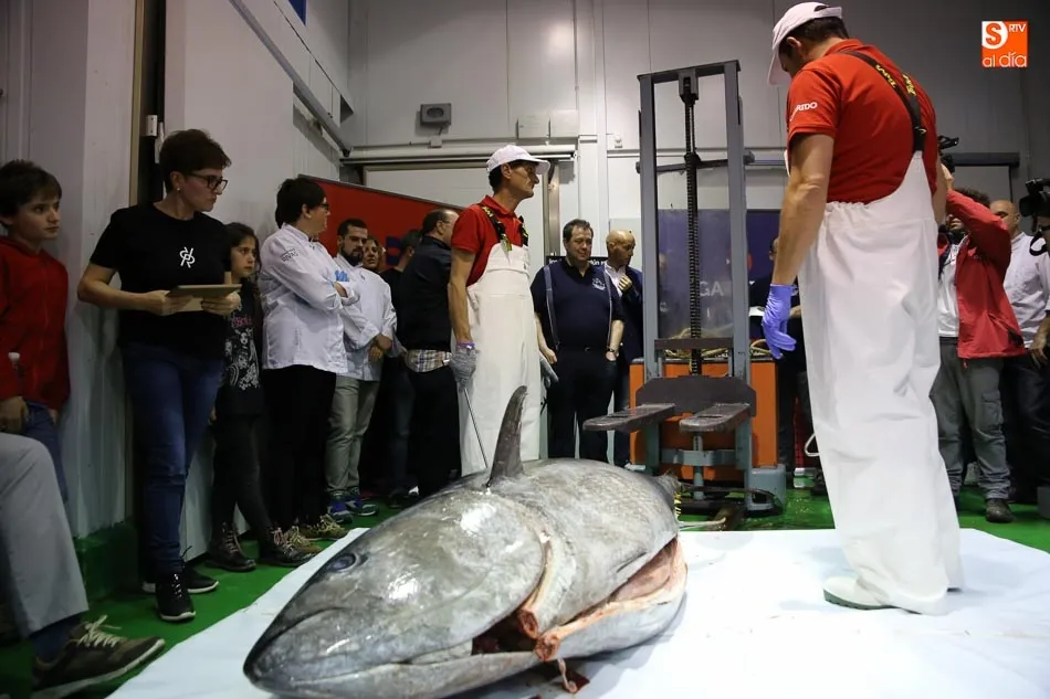 Foto 2 - El tradicional &lsquo;Ronqueo del At&uacute;n Rojo&rsquo; regresa a las instalaciones de Agrupesca  