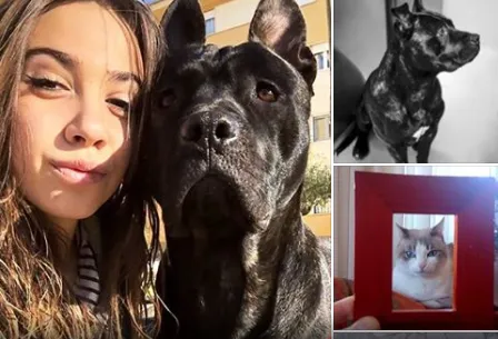 Montaje de portada del álbum que se puede encontrar en Facebook