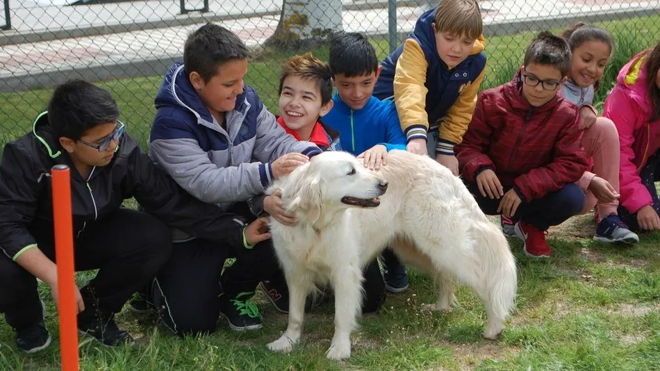 Ciudad de los Niños trabaja en los colegios el respeto y cuidado de las mascotas  