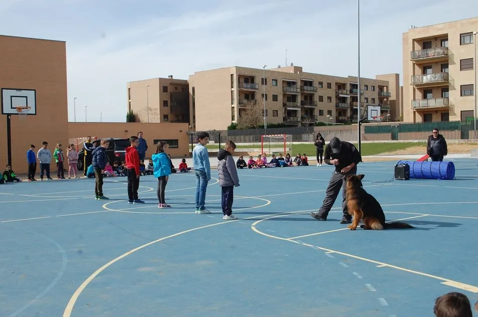 Foto 7 - Ciudad de los Ni&ntilde;os trabaja en los colegios el respeto y cuidado de las mascotas  