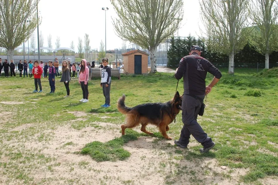 Foto 6 - Ciudad de los Ni&ntilde;os trabaja en los colegios el respeto y cuidado de las mascotas  