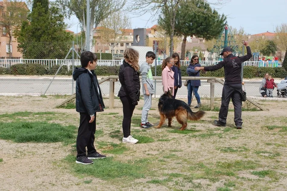 Foto 5 - Ciudad de los Ni&ntilde;os trabaja en los colegios el respeto y cuidado de las mascotas  