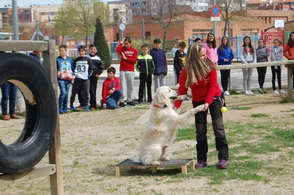 Foto 4 - Ciudad de los Ni&ntilde;os trabaja en los colegios el respeto y cuidado de las mascotas  