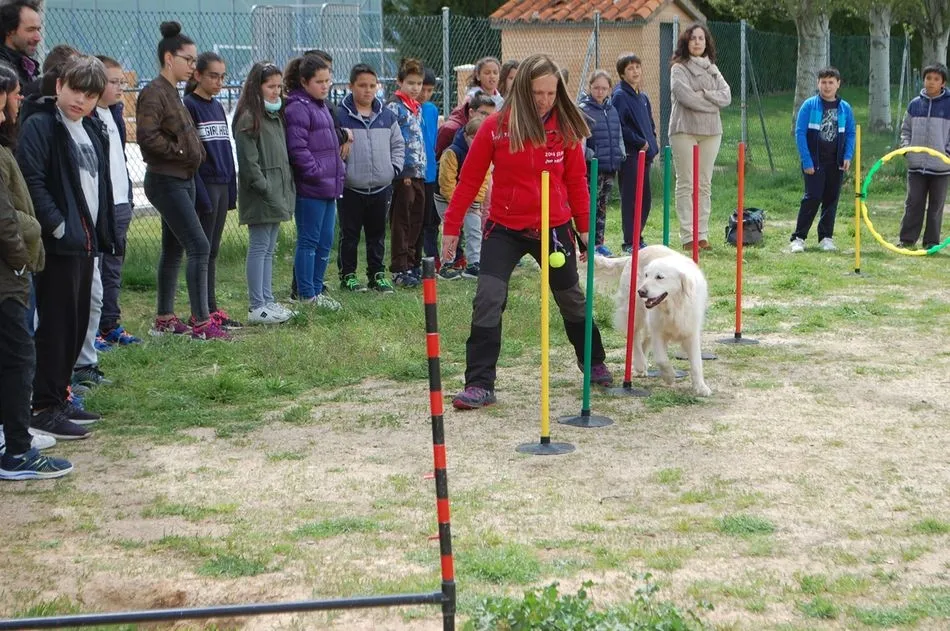 Foto 3 - Ciudad de los Ni&ntilde;os trabaja en los colegios el respeto y cuidado de las mascotas  