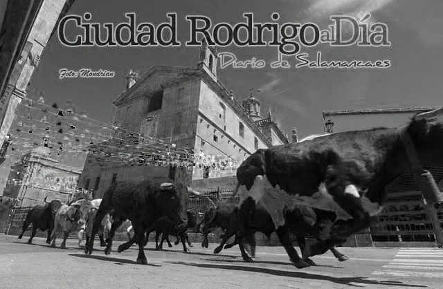 Foto 5 - Se cumplen 5 a&ntilde;os del Carnavolvo  