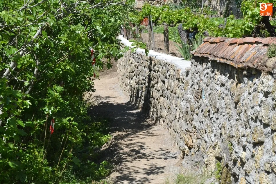 Foto 5 - Reparado el muro semiderruido en la Cuesta de las Higueras  