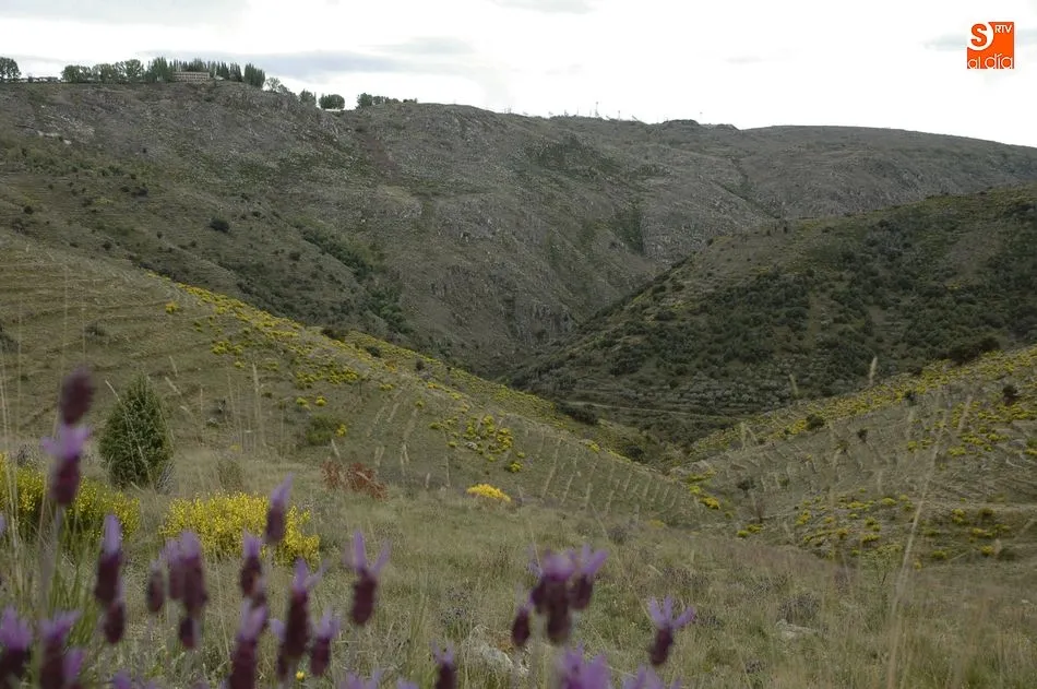 Foto 3 - Tormes y Duero, enclave de civilizaciones  