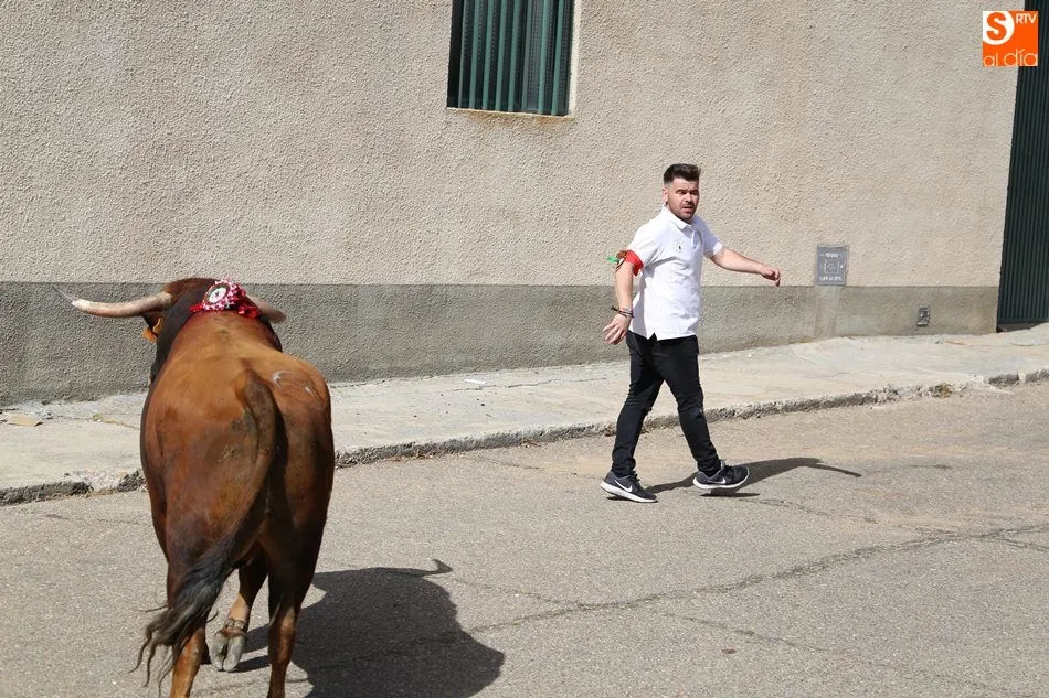 Foto 11 - El III Toro de San Isidro re&uacute;ne a cientos de aficionados