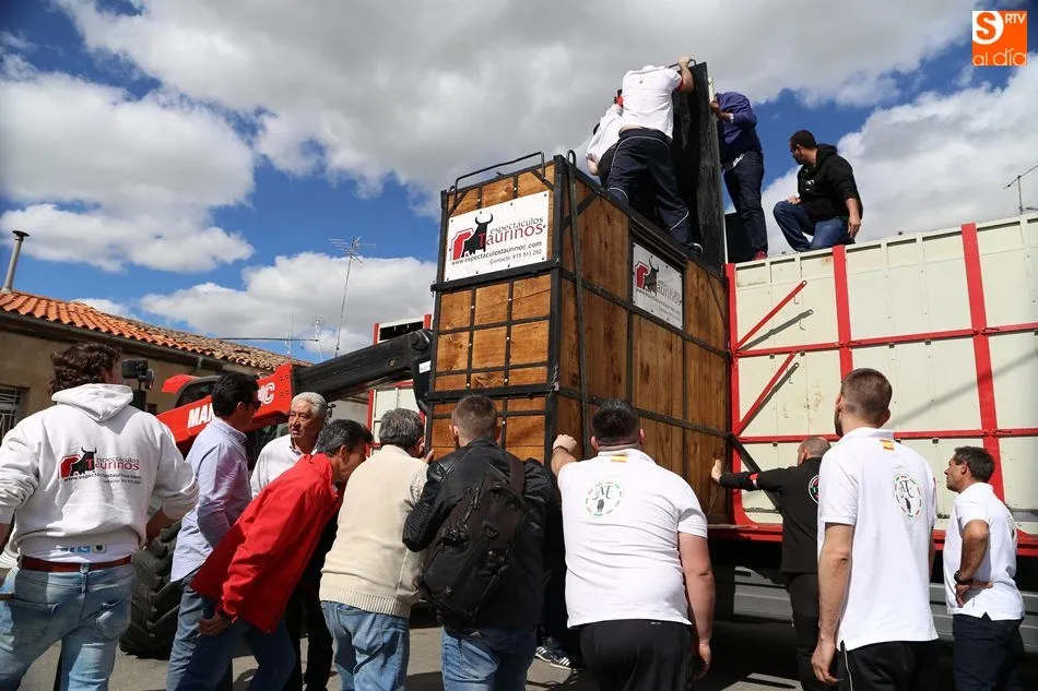 Foto 7 - El III Toro de San Isidro re&uacute;ne a cientos de aficionados