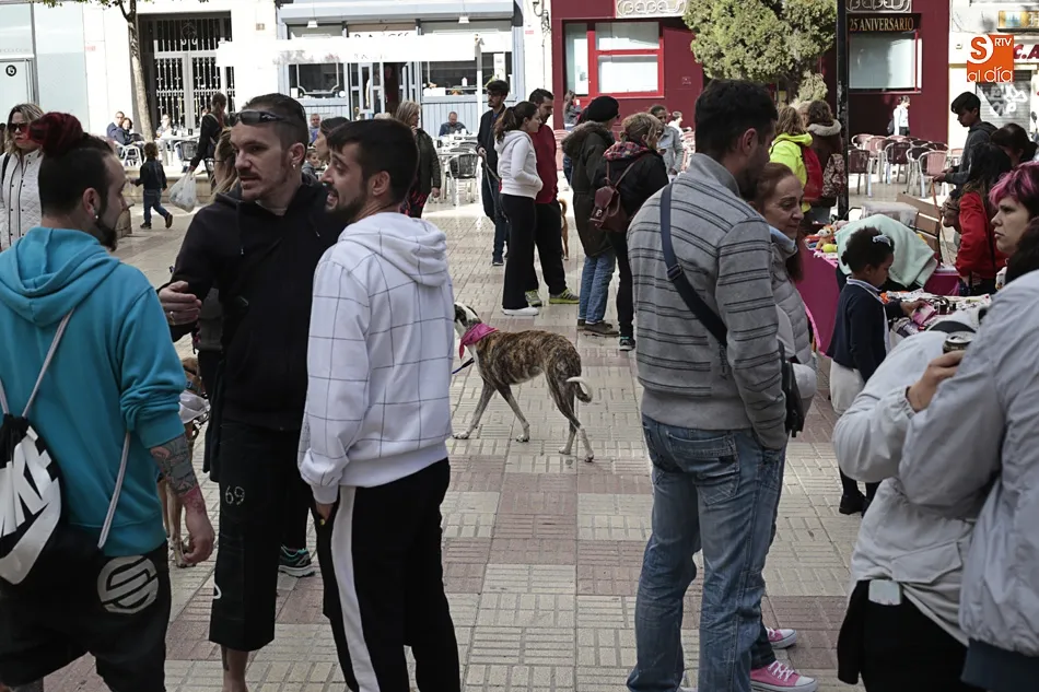 Foto 3 - Rosa Hern&aacute;ndez: &ldquo;Hay que concienciar de que hay que coger gatos, esterilizarlos, soltarlos y...