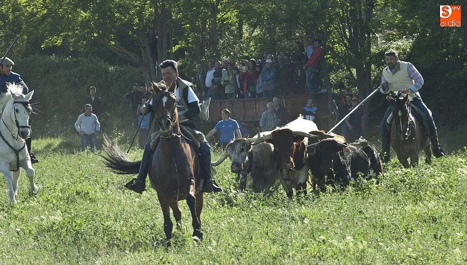Foto 11 - Larga tarde taurina en &Aacute;gueda con un encierro que se prolong&oacute; m&aacute;s de dos horas  