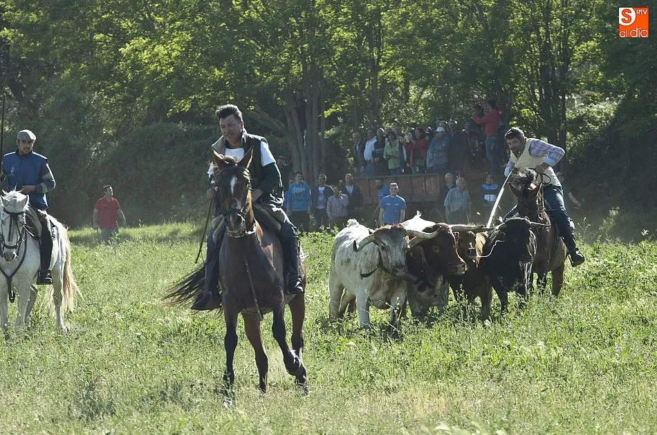 Foto 10 - Larga tarde taurina en &Aacute;gueda con un encierro que se prolong&oacute; m&aacute;s de dos horas  