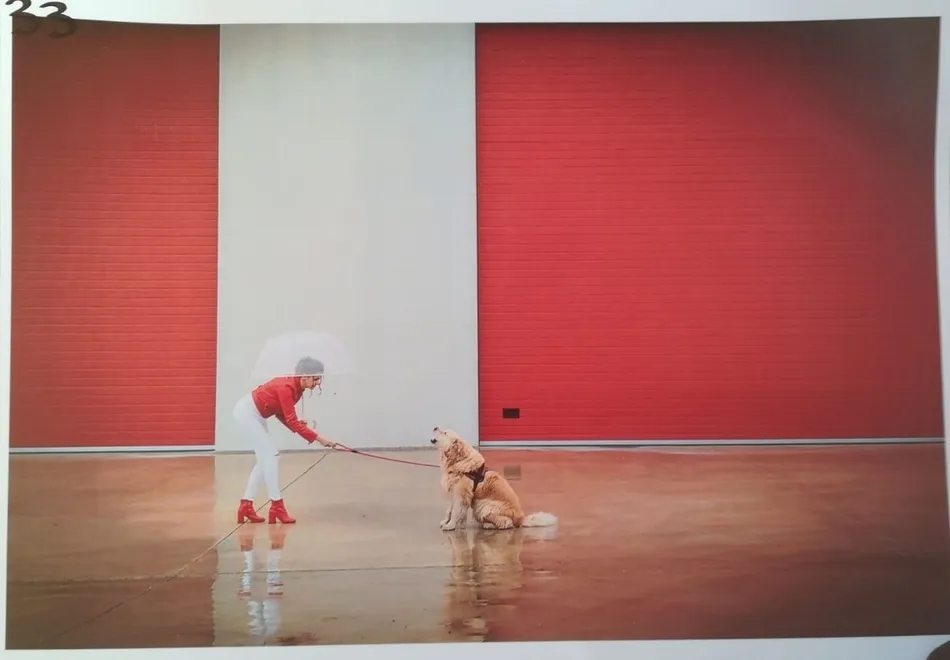 Foto 4 - Roberto Garc&iacute;a gana el Concurso de Fotograf&iacute;a del D&iacute;a de la Mascota  