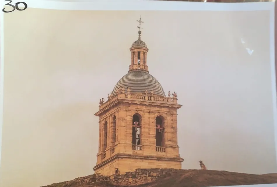 Roberto García gana el Concurso de Fotografía del Día de la Mascota  