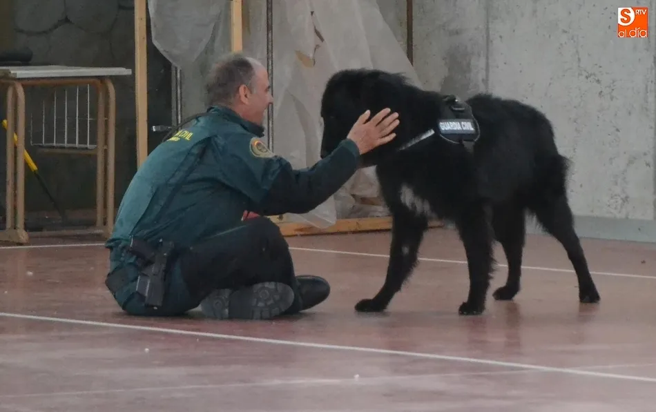 Foto 7 - Un mast&iacute;n de 80 kilos, gran triunfador del 2&ordm; D&iacute;a de la Mascota  