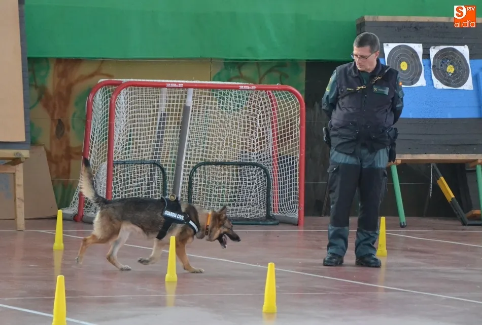Foto 3 - Un mast&iacute;n de 80 kilos, gran triunfador del 2&ordm; D&iacute;a de la Mascota  