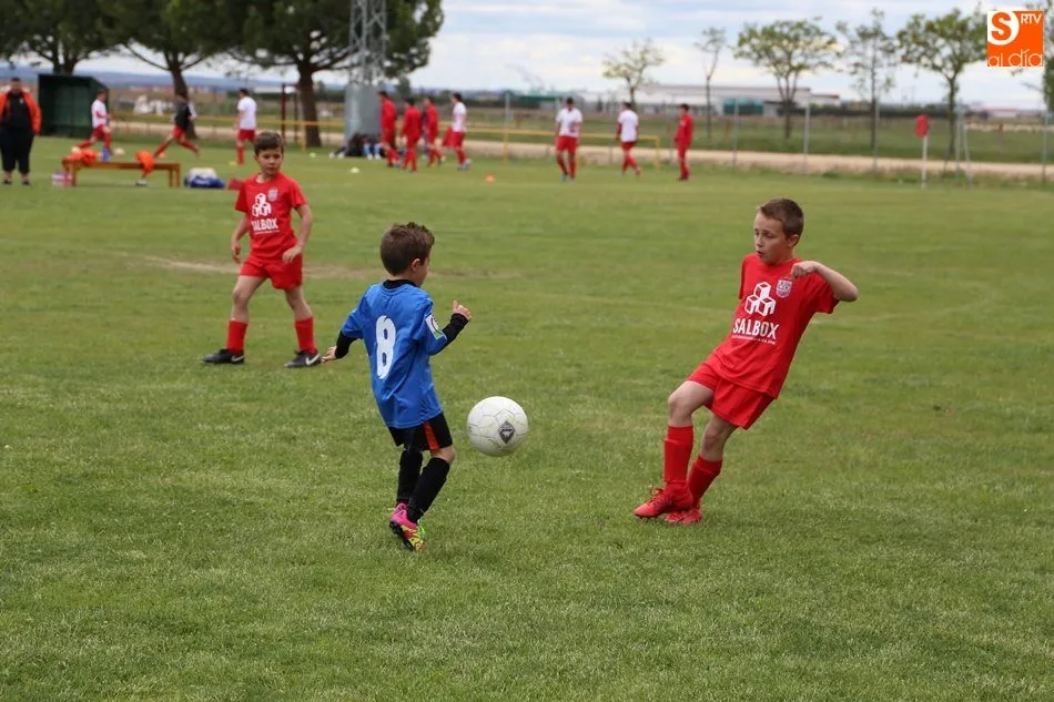 Foto 10 - Los prebenjamines del Promesas de Villoria se proclaman campeones de la liga