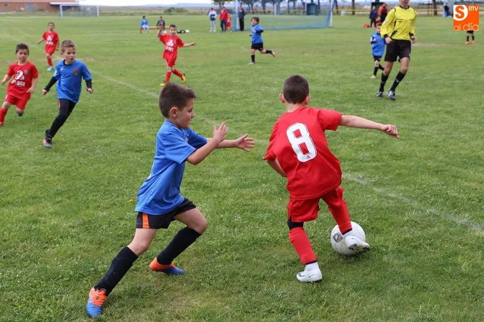Foto 8 - Los prebenjamines del Promesas de Villoria se proclaman campeones de la liga