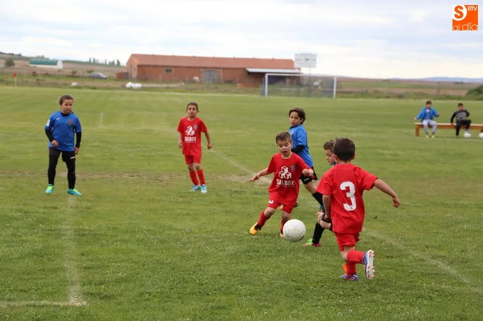 Foto 6 - Los prebenjamines del Promesas de Villoria se proclaman campeones de la liga