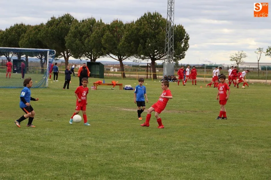 Foto 3 - Los prebenjamines del Promesas de Villoria se proclaman campeones de la liga